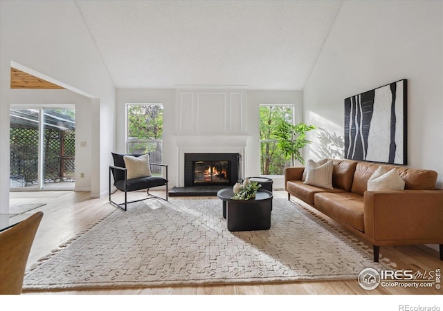 living room featuring high vaulted ceiling, a glass covered fireplace, and wood finished floors