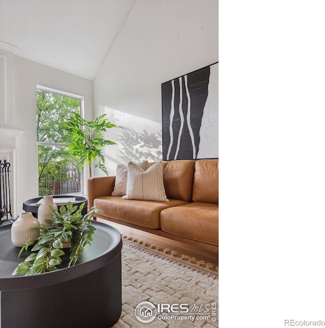 living room with wood finished floors and lofted ceiling