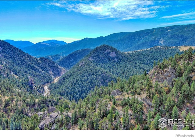 10697 County Road 43, Drake, CO 80515