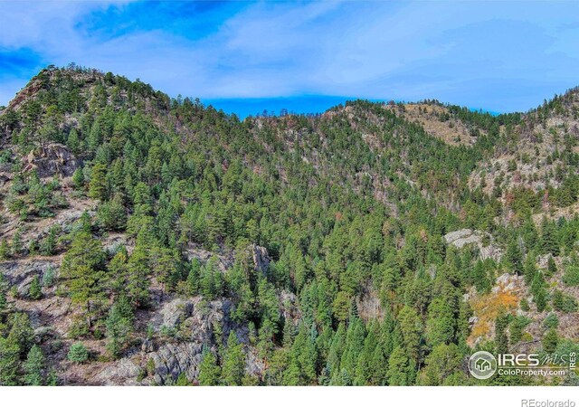 10697 County Road 43, Drake, CO 80515