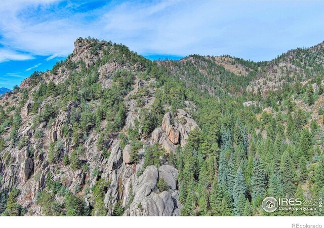 10697 County Road 43, Drake, CO 80515
