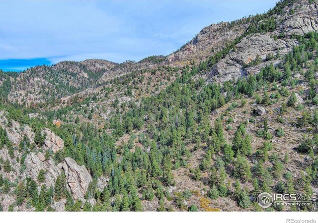 10697 County Road 43, Drake, CO 80515