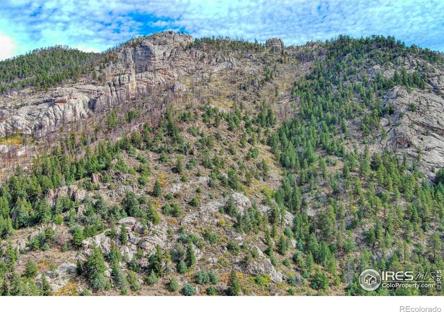 10697 County Road 43, Drake, CO 80515