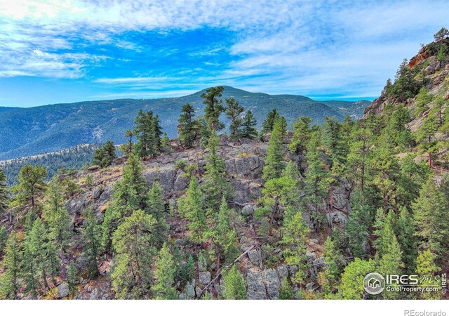 10697 County Road 43, Drake, CO 80515