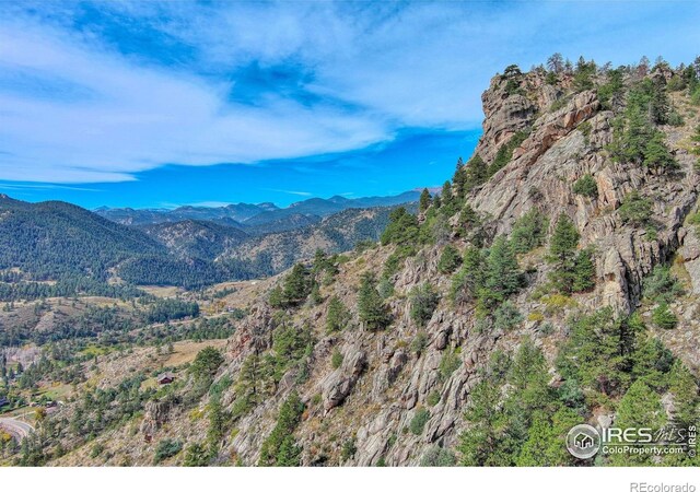 10697 County Road 43, Drake, CO 80515