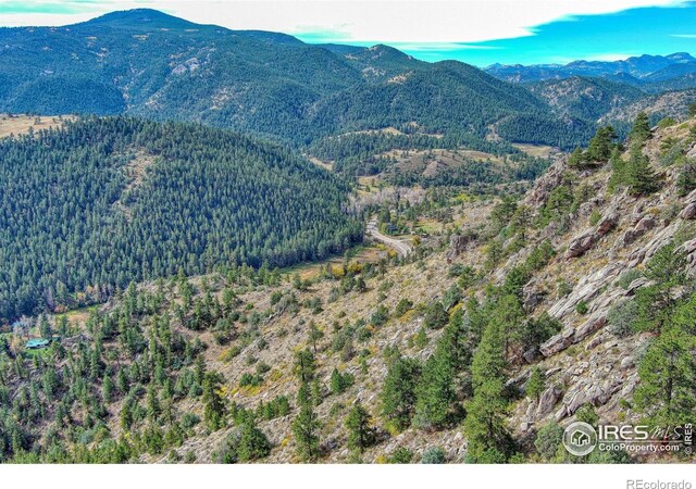 10697 County Road 43, Drake, CO 80515