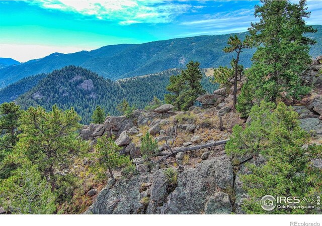 10697 County Road 43, Drake, CO 80515