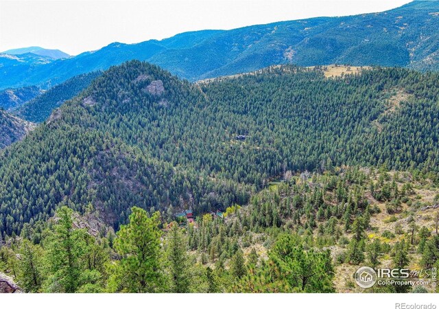 10697 County Road 43, Drake, CO 80515