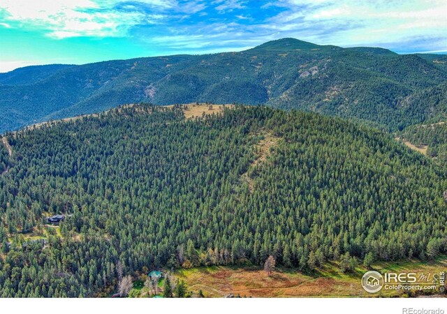 10697 County Road 43, Drake, CO 80515