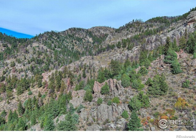 10697 County Road 43, Drake, CO 80515