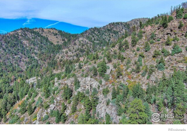 10697 County Road 43, Drake, CO 80515