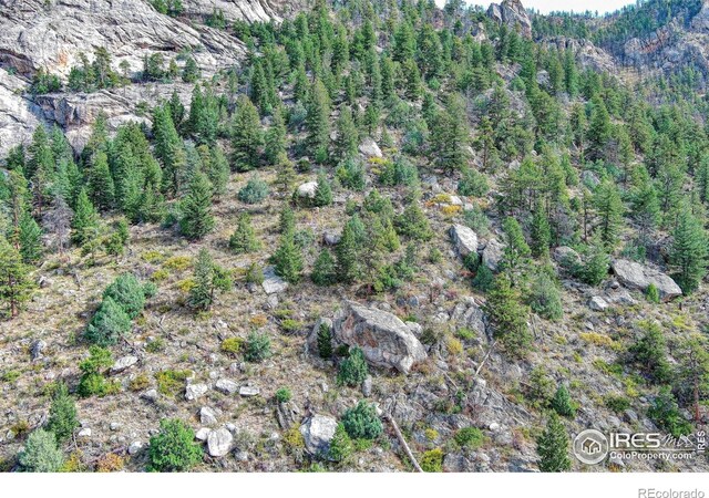 10697 County Road 43, Drake, CO 80515