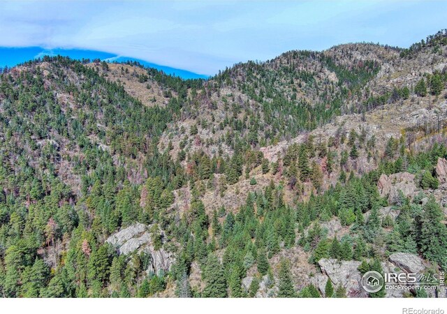 10697 County Road 43, Drake, CO 80515