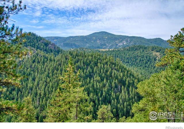 10697 County Road 43, Drake, CO 80515