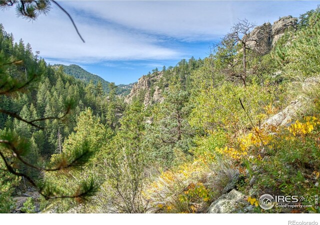 10697 County Road 43, Drake, CO 80515