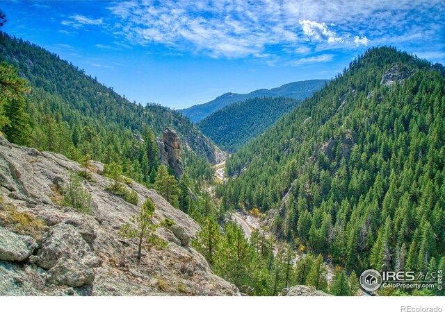 10697 County Road 43, Drake, CO 80515