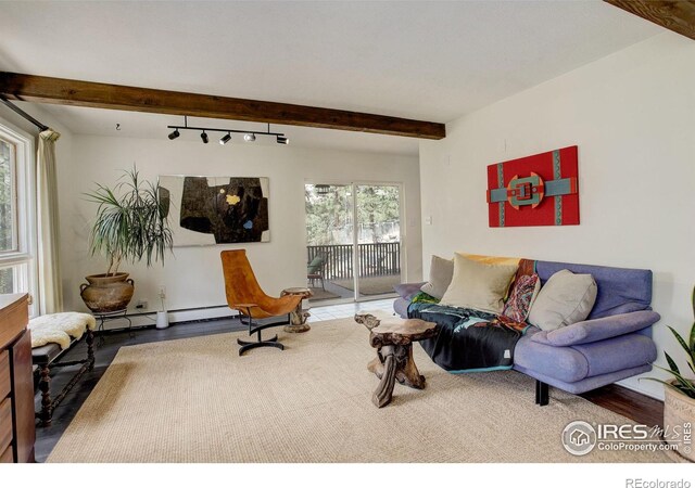 4 Porphyry Vw, Jamestown, CO 80455 - living area featuring beam ceiling and track lighting