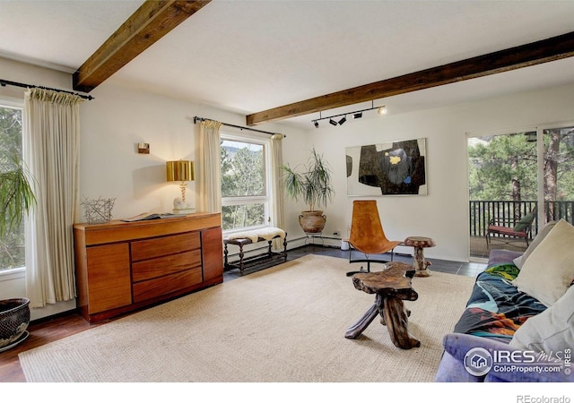4 Porphyry Vw, Jamestown, CO 80455 - sitting room with beamed ceiling, healthy amount of natural light, and baseboard heating