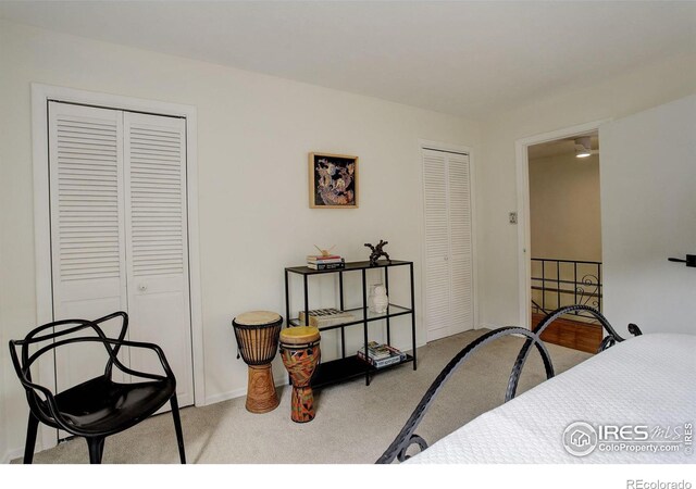 4 Porphyry Vw, Jamestown, CO 80455 - view of carpeted bedroom
