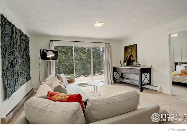 4 Porphyry Vw, Jamestown, CO 80455 - living area featuring carpet floors and a baseboard radiator