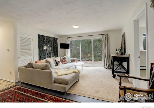 4 Porphyry Vw, Jamestown, CO 80455 - living room with a baseboard heating unit and baseboards