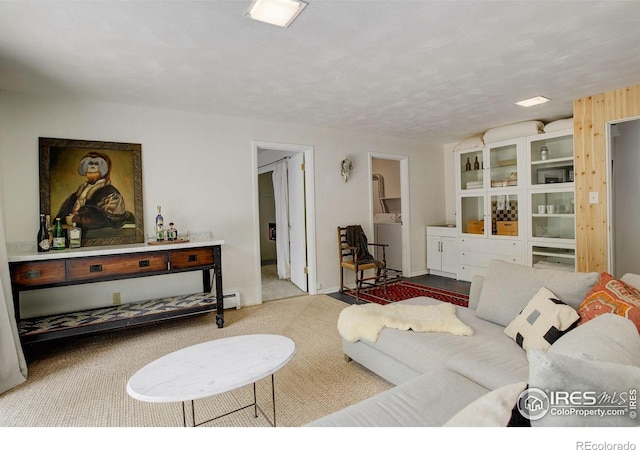 4 Porphyry Vw, Jamestown, CO 80455 - carpeted living area featuring washer / clothes dryer