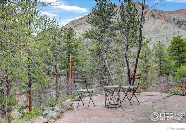 4 Porphyry Vw, Jamestown, CO 80455 - view of patio with a mountain view