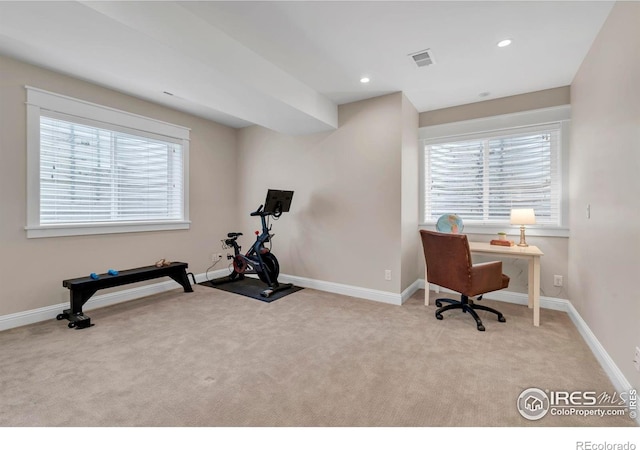 workout area featuring baseboards, plenty of natural light, and carpet flooring