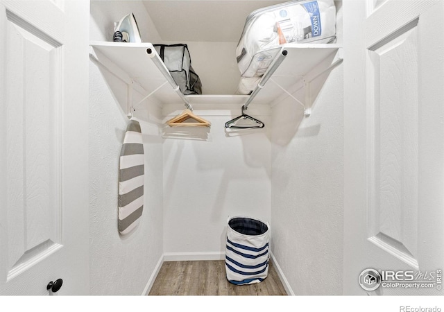 spacious closet featuring wood finished floors