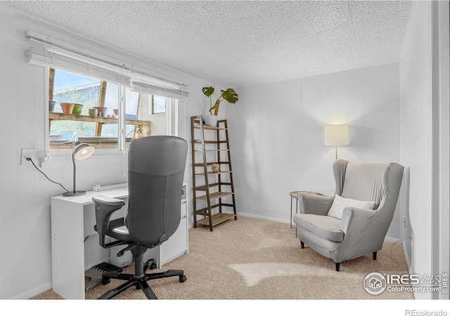 carpeted home office with a textured ceiling