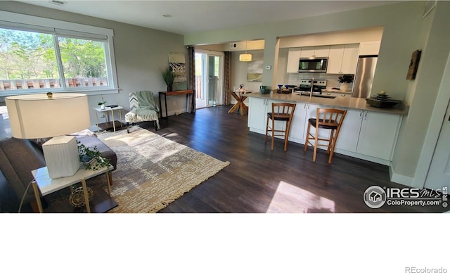 1180 Monroe Dr Unit C, Boulder, CO 80303 - living area featuring healthy amount of natural light and dark wood finished floors