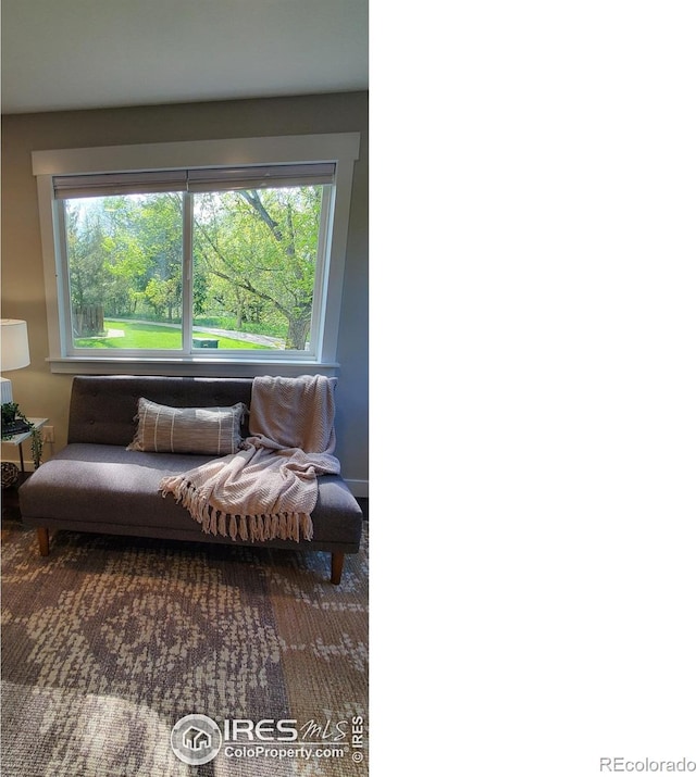 1180 Monroe Dr Unit C, Boulder, CO 80303 - sitting room featuring healthy amount of natural light