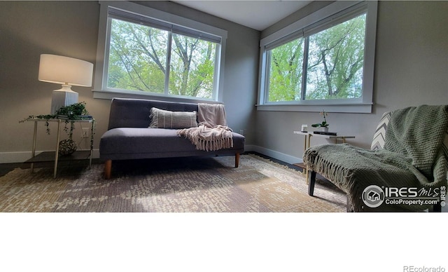 1180 Monroe Dr Unit C, Boulder, CO 80303 - living area with baseboards and wood finished floors