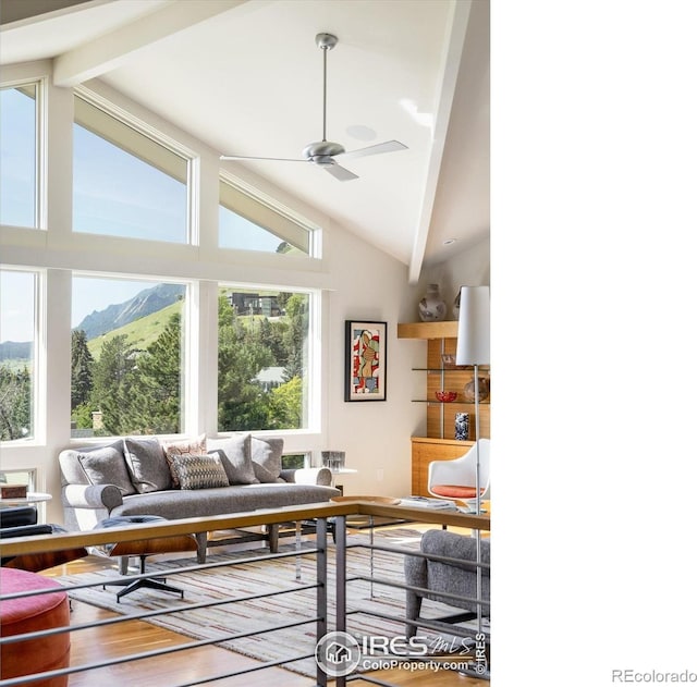 230 Cactus Ct, Boulder, CO 80304 - photo 6
