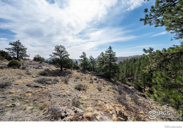 1097 Montcalm Dr, Livermore, CO 80536