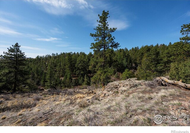 1097 Montcalm Dr, Livermore, CO 80536