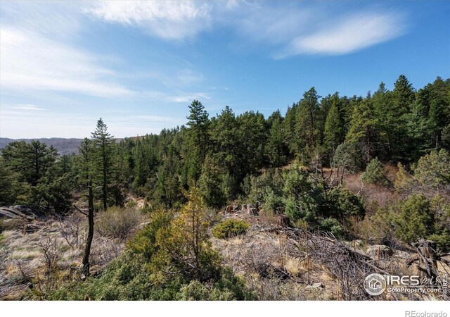 1097 Montcalm Dr, Livermore, CO 80536