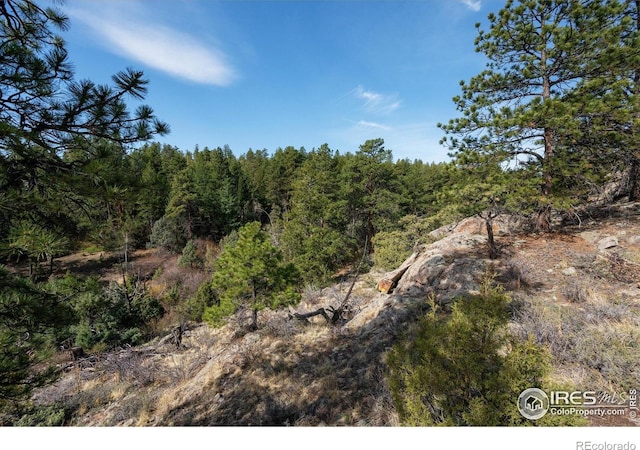 1097 Montcalm Dr, Livermore, CO 80536