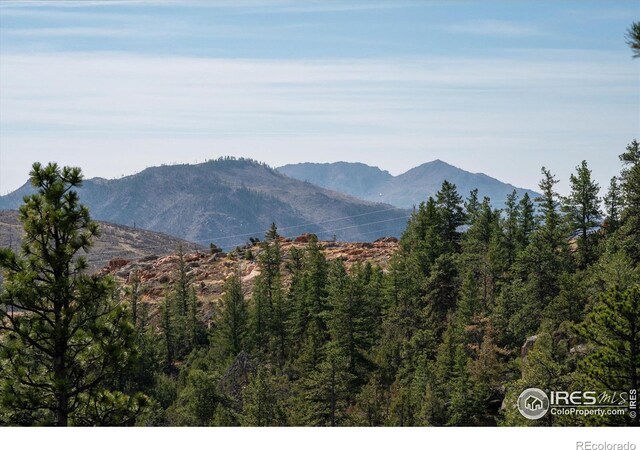 1097 Montcalm Dr, Livermore, CO 80536