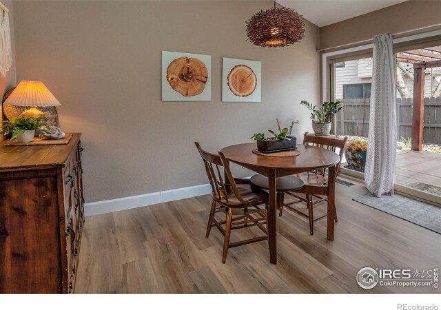 1728 Manchester Ct, Loveland, CO 80538 - photo 10