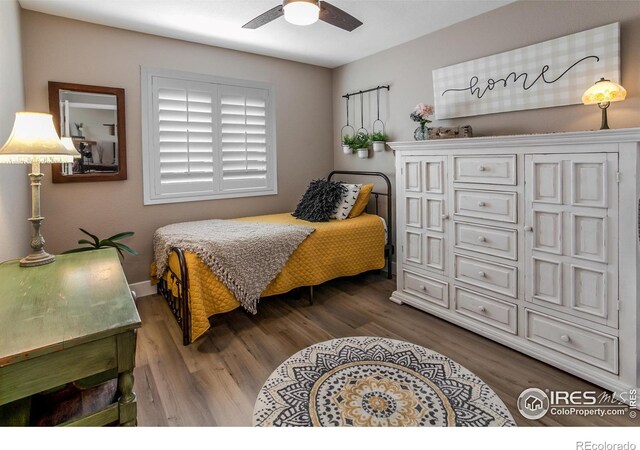 1728 Manchester Ct, Loveland, CO 80538 - photo 19