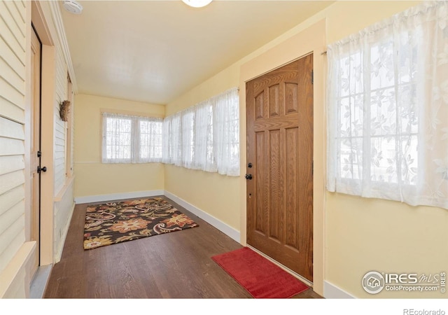 foyer with baseboards and wood finished floors