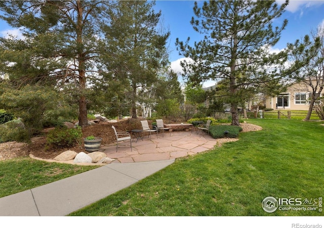 view of yard featuring a patio area