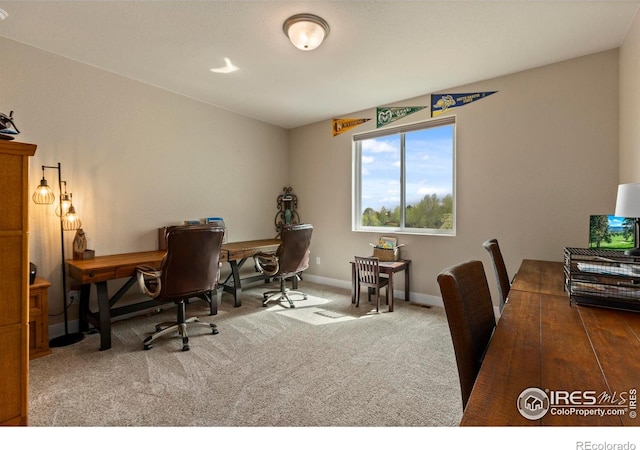 1603 Plank Ln, Fort Collins, CO 80524 - carpeted office featuring baseboards