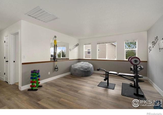 4400 Red Fox Ct, Loveland, CO 80537 - exercise room featuring baseboards, wood finished floors, and a wealth of natural light