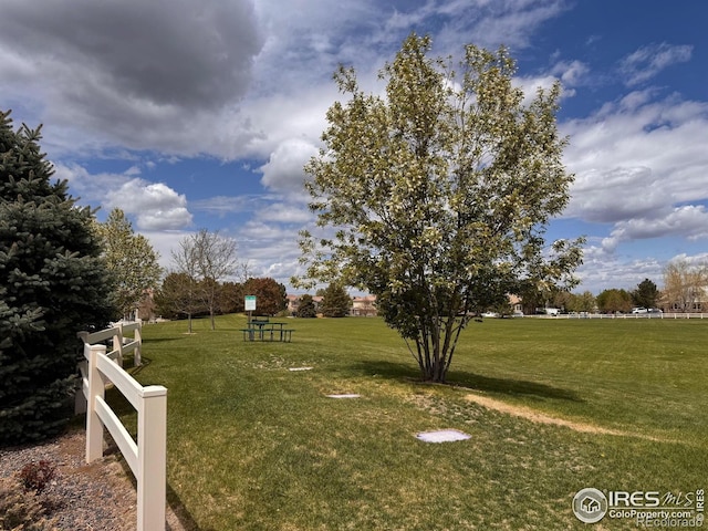 view of yard