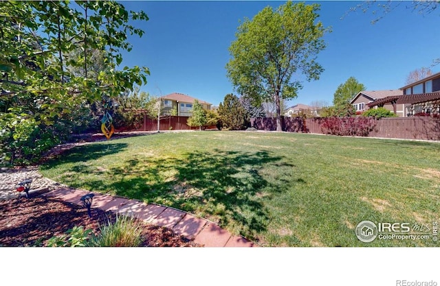 view of yard