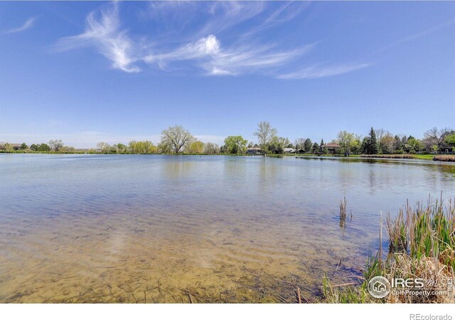 4251 Peach Way, Boulder, CO 80301 - photo 36