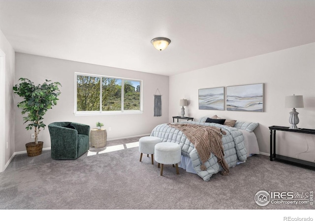 bedroom with carpet and baseboards
