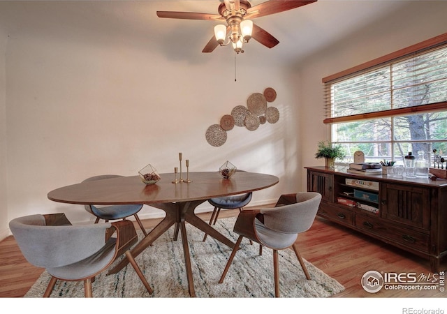 16 Misty Manor Rd, Drake, CO 80515 - photo 13